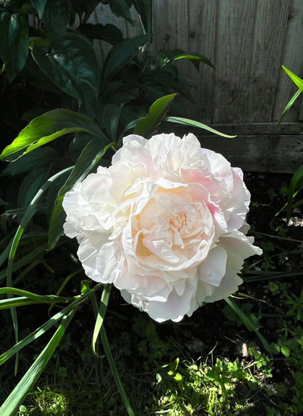 Thruxton Memorial Hall in Hampshire